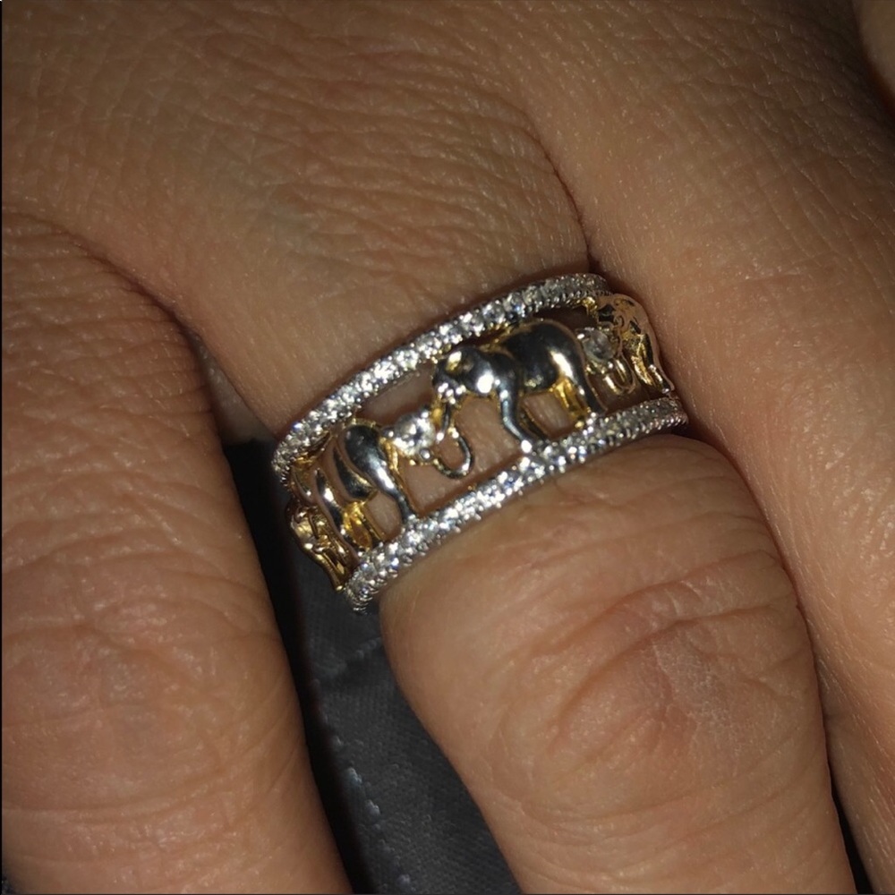 Elephant Ring - image 3